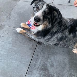 Meet your Posher, Jace